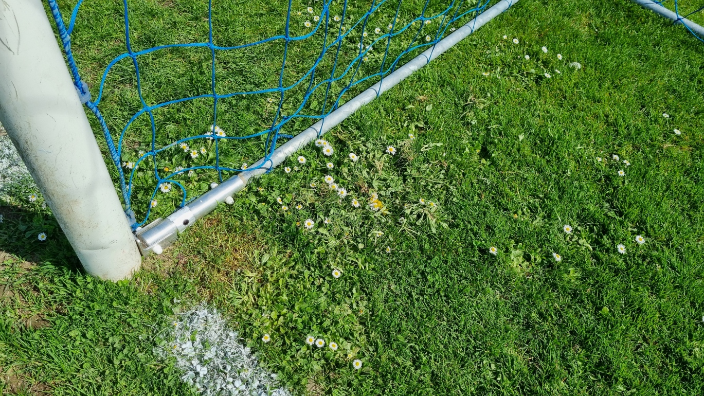Setting up cameras at the stadium